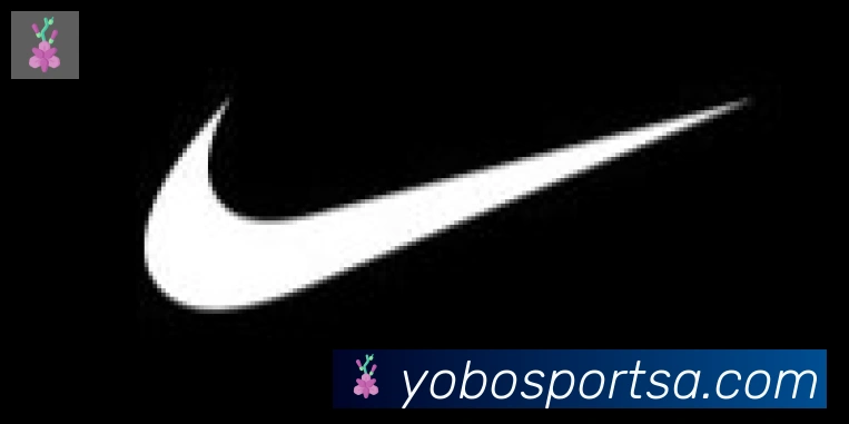 YOBO体育合作伙伴